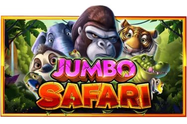 infintybet Live Casino